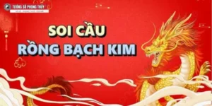 Giới thiệu tổng quan về Rồng bạch kim 247