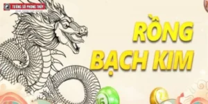 Cách sử dụng rồng bạch kim