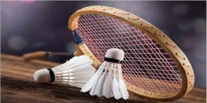 Bongvip - Khám phá sân chơi cầu lông trực tuyến đỉnh cao